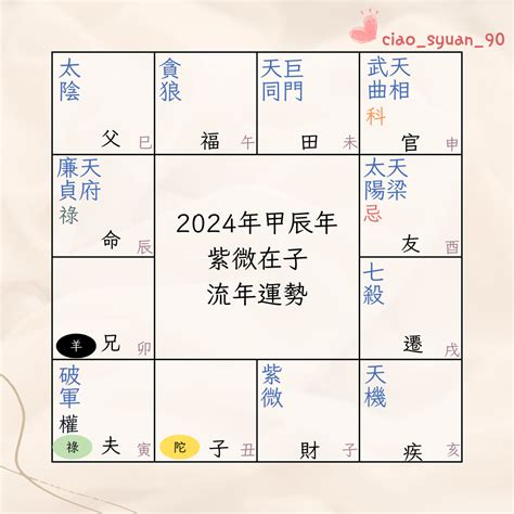 運勢分析|免費紫微運勢曲線算命